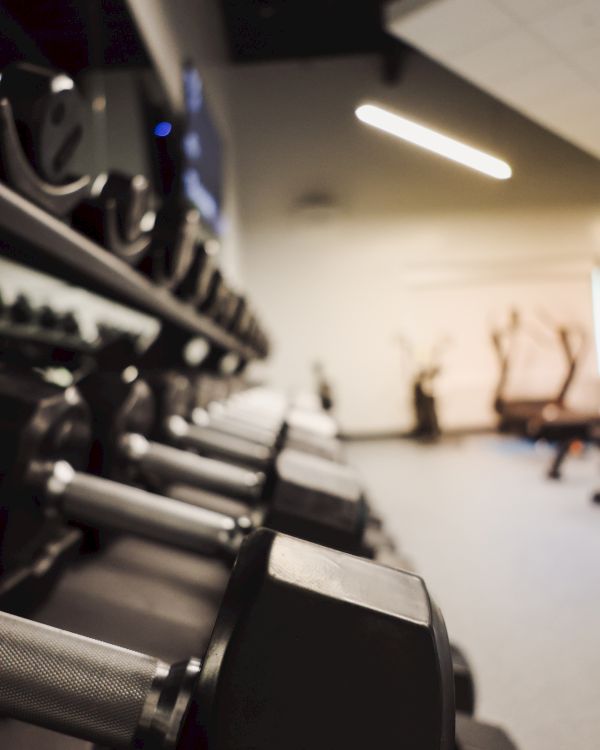 Weight plates and dumbbells lined up in a gym with people exercising in the background, soft lighting, and a blurred, active scene.