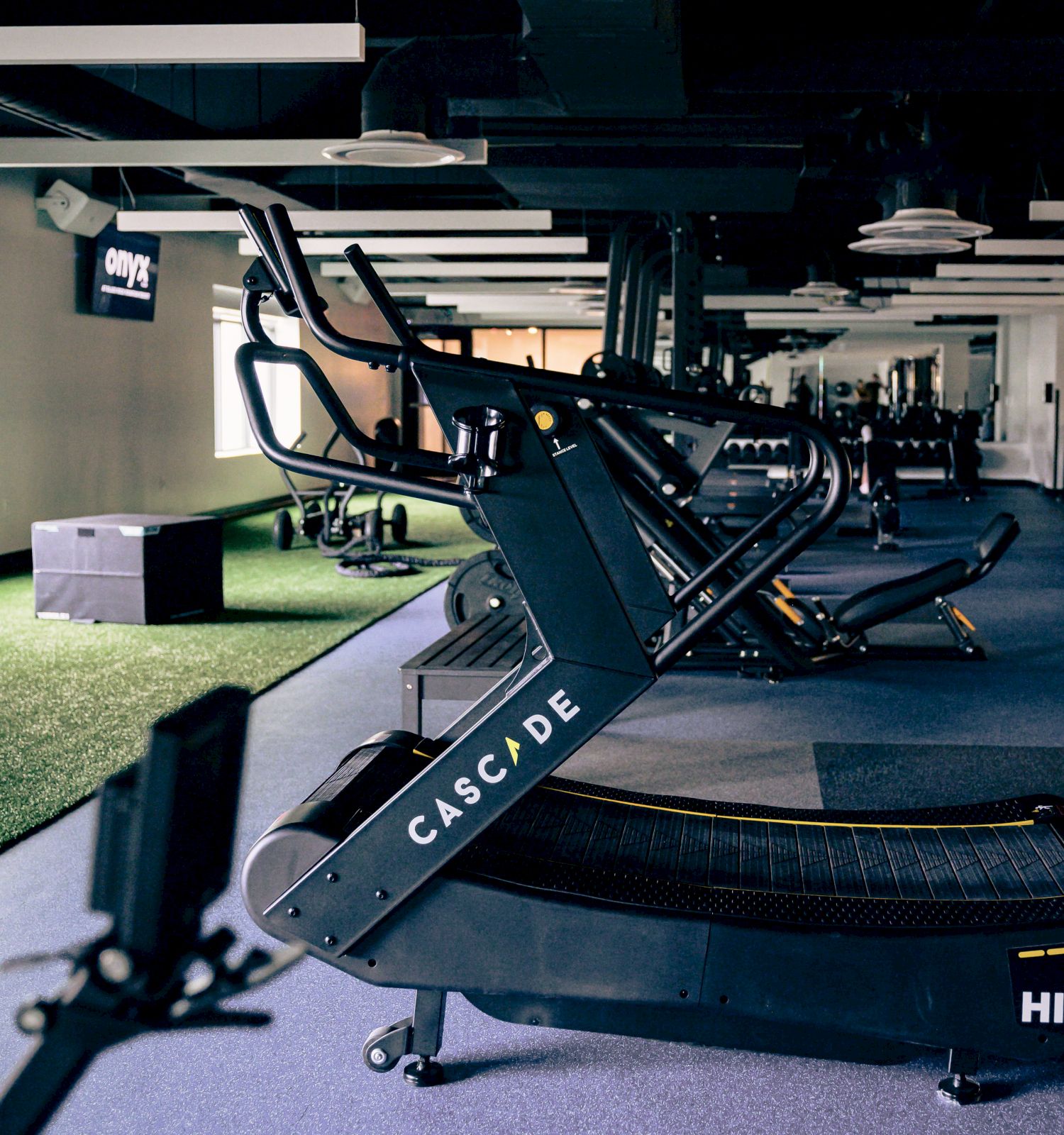 A row of modern treadmills in a gym, labeled &ldquo;CASCADE,&rdquo; lined up along a blue carpet with soft lighting and ceiling fixtures.