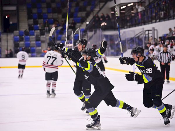 Ice hockey players celebrate a goal on the rink, with teammates cheering as officials and other players look on, motion and excitement abound.
