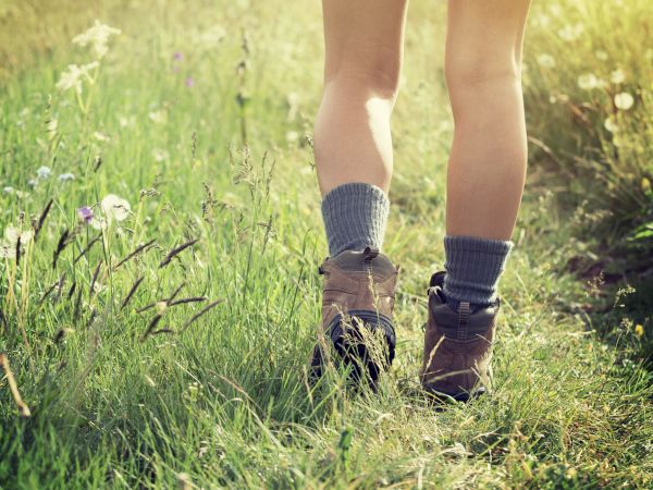 Two people&rsquo;s legs and boots standing in tall grass on a sunny field, with socks visible, suggesting a hike or walk.